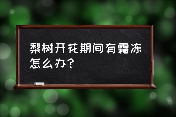 果树花期防冻的最佳方法 梨树开花期间有霜冻怎么办？