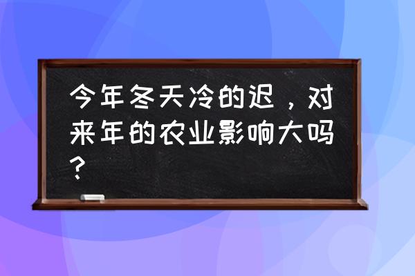 杏树叶子发黄又卷曲怎么治 今年冬天冷的迟，对来年的农业影响大吗？