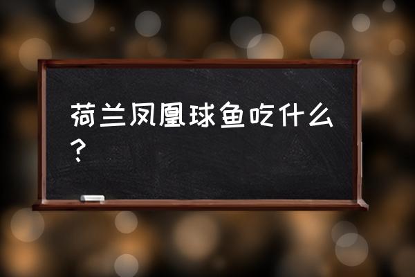 七彩山鸡吃什么 荷兰凤凰球鱼吃什么？