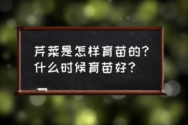 蔬菜怎么种最快方法 芹菜是怎样育苗的？什么时候育苗好？