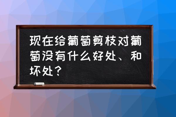 吃葡萄干有啥好处坏处 现在给葡萄剪枝对葡萄没有什么好处、和坏处？