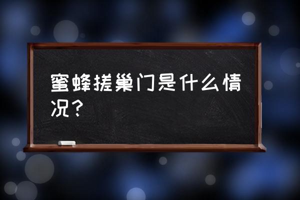 蜜蜂咬巢门是怎么回事 蜜蜂搓巢门是什么情况？