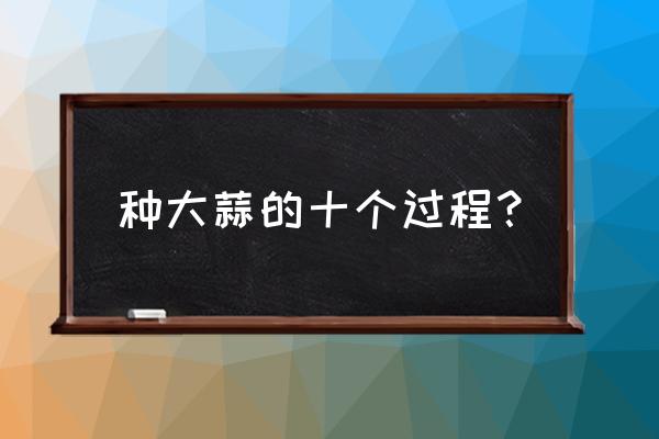 种大蒜如何挑选种子 种大蒜的十个过程？