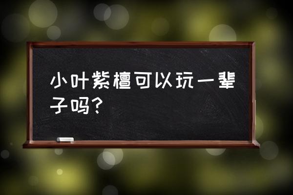 戴小叶紫檀手串有什么好处 小叶紫檀可以玩一辈子吗？