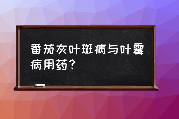 难缠的番茄叶霉病防治有妙招 番茄灰叶斑病与叶霉病用药？