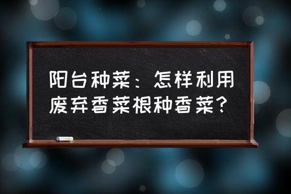 阳台种香菜的绝招和方法 阳台种菜：怎样利用废弃香菜根种香菜？