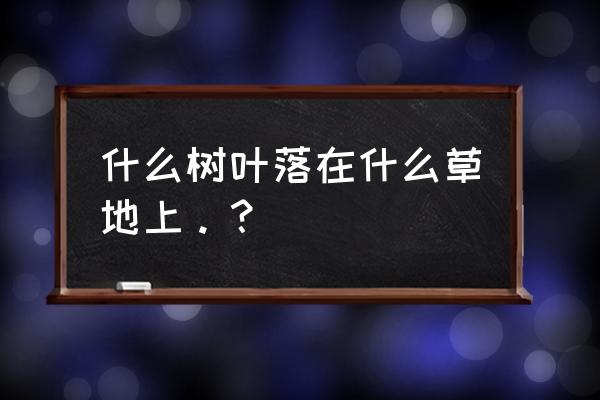 草坪中的落叶用什么工具清理最好 什么树叶落在什么草地上。？