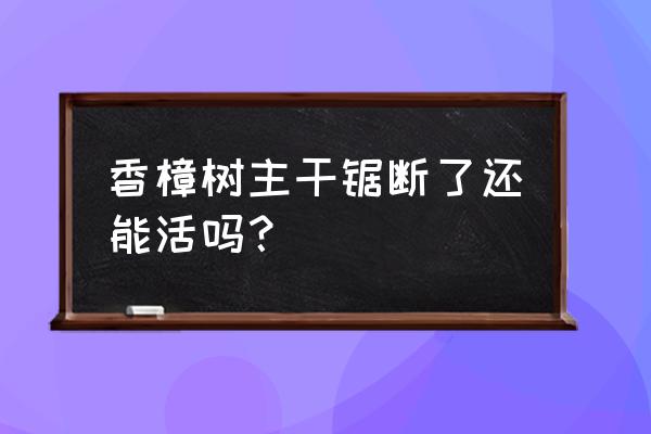 热门绿化苗木香樟应该怎么养护 香樟树主干锯断了还能活吗？