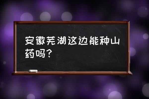 安徽种植山药的最佳时间 安徽芜湖这边能种山药吗？