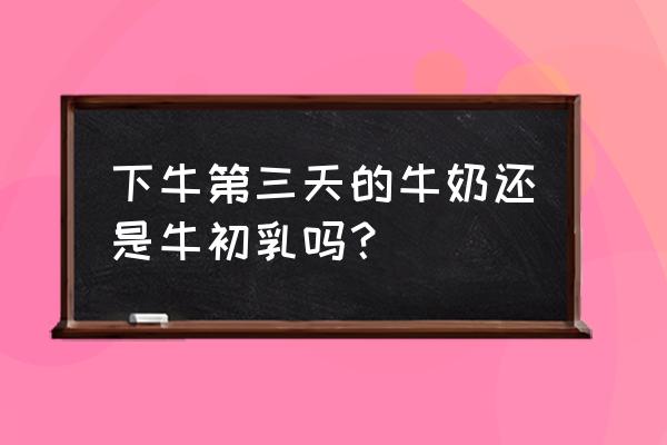 母牛下完小牛三个月了没奶怎么办 下牛第三天的牛奶还是牛初乳吗？