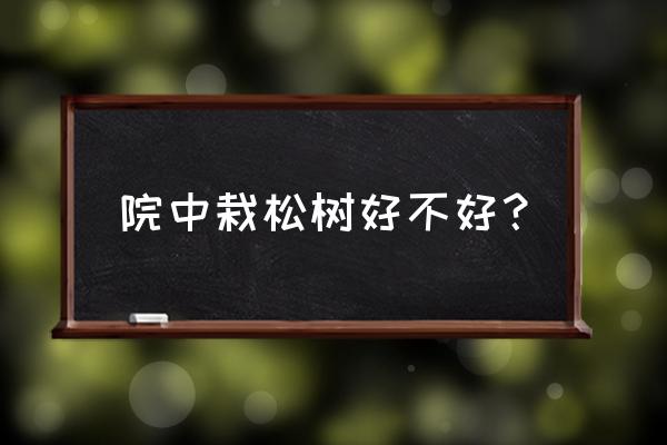 松树下适合种植什么植物 院中栽松树好不好？