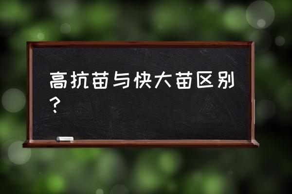 对虾养殖中有哪些不可控因素 高抗苗与快大苗区别？