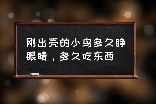 小鸡没精神闭眼睛不吃食 刚出壳的小鸟多久睁眼睛，多久吃东西