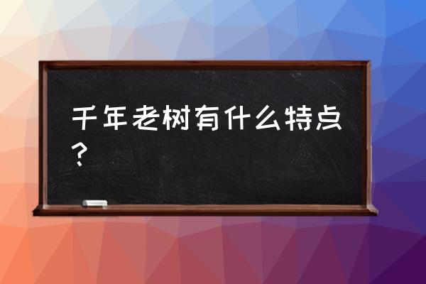 悠久之树新手如何快速上手 千年老树有什么特点？