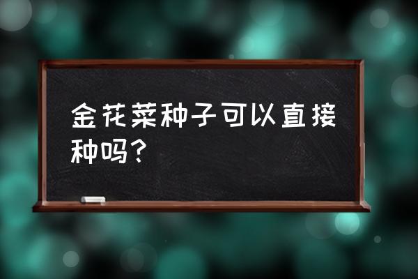 几月份种金花菜 金花菜种子可以直接种吗？