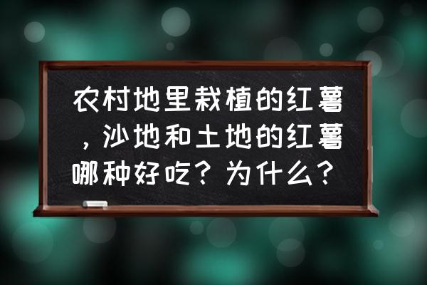 怎么挑选好的红薯 农村地里栽植的红薯，沙地和土地的红薯哪种好吃？为什么？