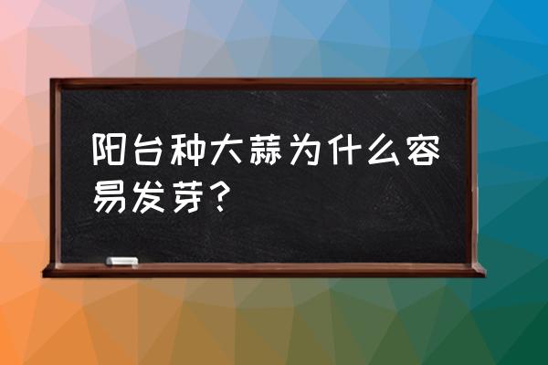 阳台土种蒜苗的正确过程 阳台种大蒜为什么容易发芽？