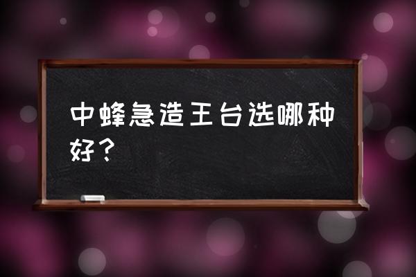 中蜂急造王台最佳方法 中蜂急造王台选哪种好？