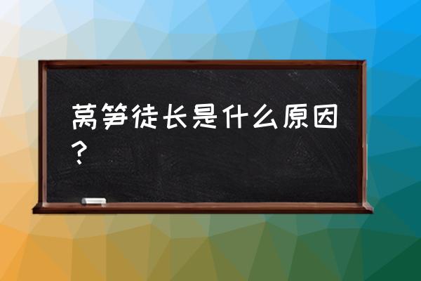 莴笋要怎样才长得又粗又壮 莴笋徒长是什么原因？