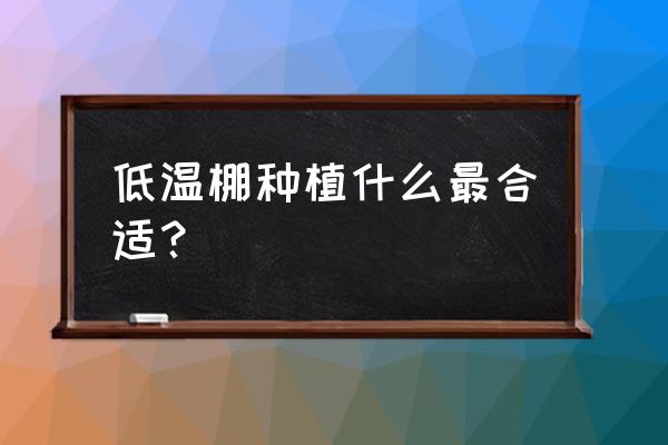 姜不辣可以在冬天种吗 低温棚种植什么最合适？