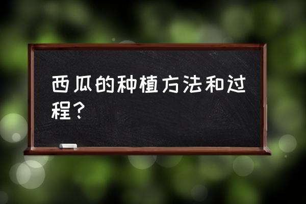 种植西瓜的步骤以及方法简短 西瓜的种植方法和过程？