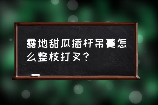 甜瓜肥害导致瓜打顶怎么处理肥料 露地甜瓜插杆吊蔓怎么整枝打叉？