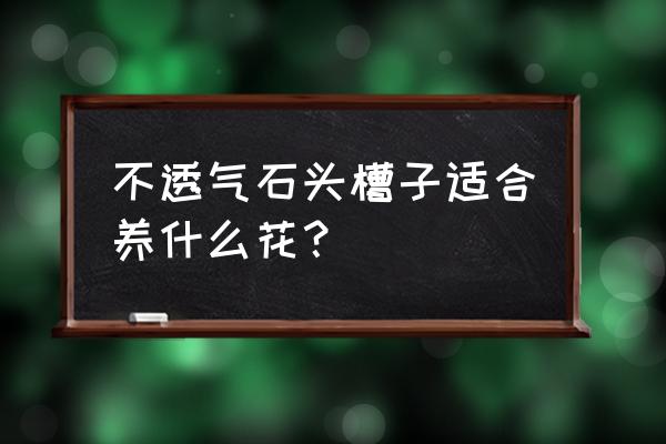 立体种植槽如何排水 不透气石头槽子适合养什么花？