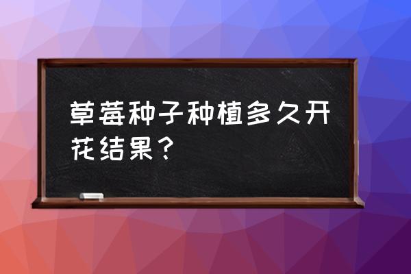 草莓约聊天可以赚钱吗 草莓种子种植多久开花结果？