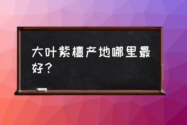 最好的紫檀佛珠在哪里 大叶紫檀产地哪里最好？