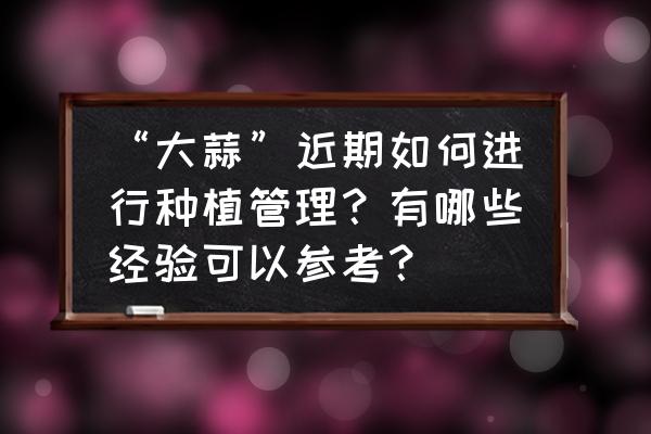 大蒜种植后期管理 “大蒜”近期如何进行种植管理？有哪些经验可以参考？